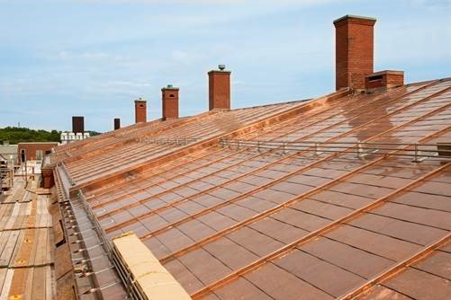 ハーバード大学比較動物博物館の屋根修復、マサチューセッツ州ケンブリッジ、ロバート・ウーメンホーファー撮影、提供: バカラ カジノ バカラ オンライン., Inc.