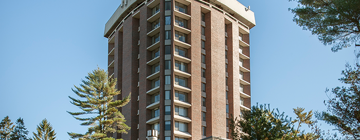 ニュースヘッダー_コールズ