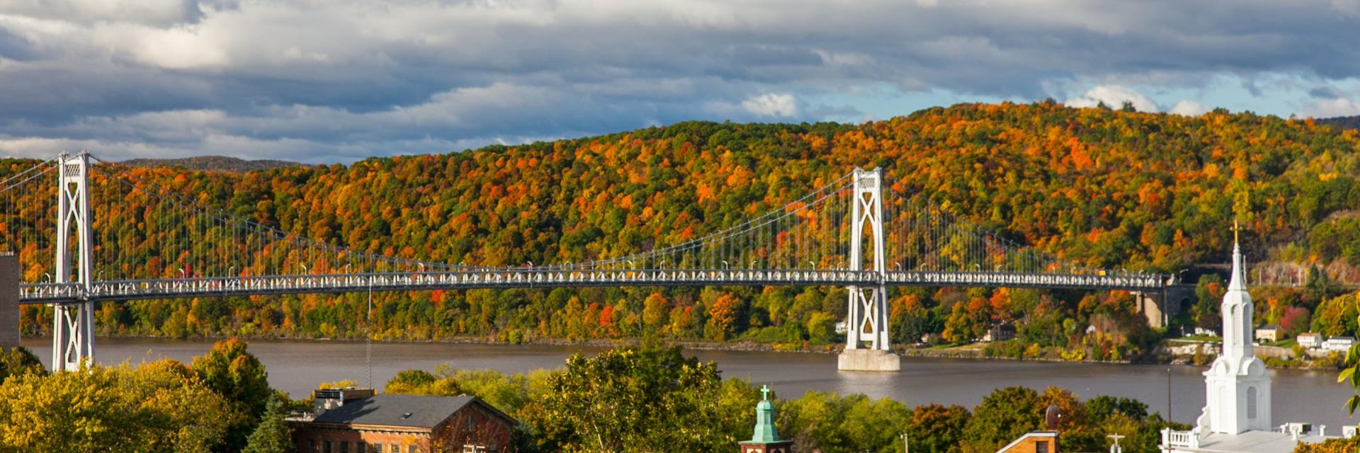 バカラ ルール 簡単ヨーク州プレザントバレー、コンシグリ